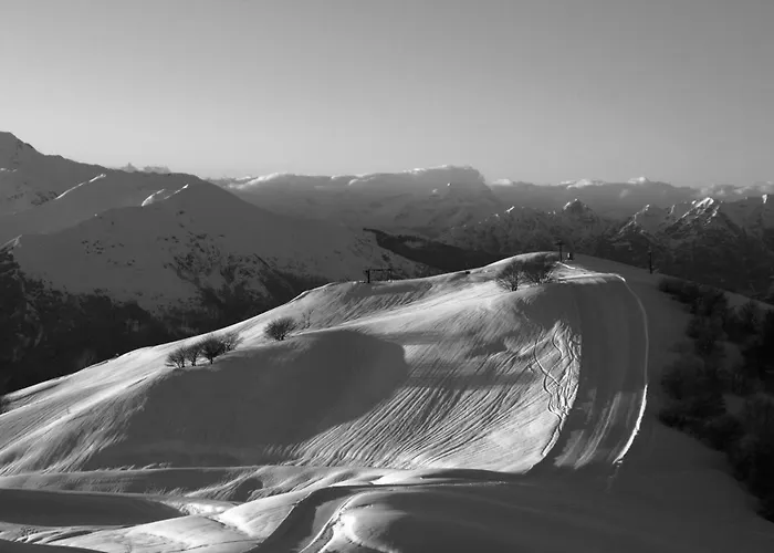 Fiorentino 2* 斯特雷萨