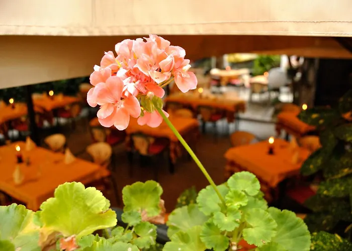 酒店 Fiorentino 2*