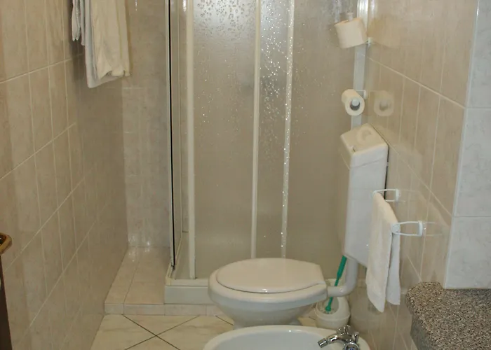 酒店 Fiorentino 斯特雷萨