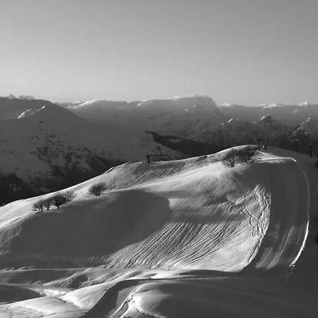 Fiorentino 2* Στρέσα